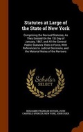 Cover: Statutes at Large of the State of New York - Arkose Press