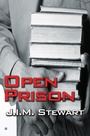 Cover: An Open Prison - House of Stratus