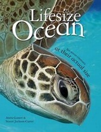 Enlarge image Cover: Lifesize: Ocean - Kingfisher