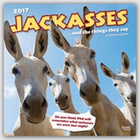 Abbildung von: Jackasses - Esel 2017 - 18-Monatskalender - Browntrout Publishers
