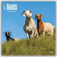 Abbildung von: Goats - Ziegen 2017 - 18-Monatskalender - Brown Trout-Auslieferer Flechsig