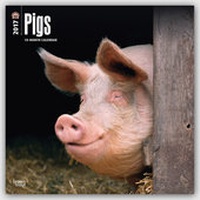 Abbildung von: Pigs - Schweine 2017 - 18-Monatskalender - Browntrout Publishers