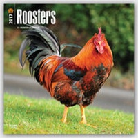 Abbildung von: Roosters - Hähne 2017 - 18-Monatskalender - Brown Trout-Auslieferer Flechsig