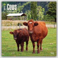 Abbildung von: Cows - Kühe 2017 - 18-Monatskalender - Brown Trout-Auslieferer Flechsig