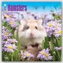 Bild: Hamsters - Hamster 2017 - 18-Monatskalender - Brown Trout-Auslieferer Flechsig