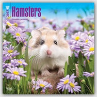 Bild vergrößern Bild: Hamsters - Hamster 2017 - 18-Monatskalender - Brown Trout-Auslieferer Flechsig