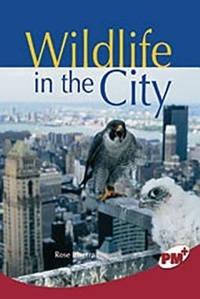 Abbildung von: Wildlife in the City - Rigby