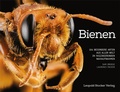 Cover: Bienen - Stocker, L