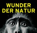Cover: Wunder der Natur - Klartext
