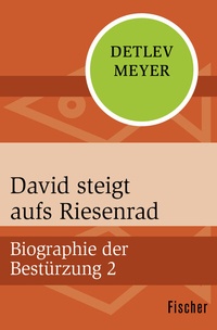 Abbildung von: David steigt aufs Riesenrad - Fischer Taschenbuch