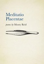 Cover: Meditatio Placentae - Brick Books