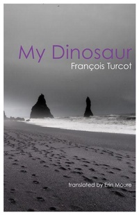 Enlarge image Cover: My Dinosaur - Book*hug