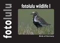 Cover: fotolulu wildlife I - Books on Demand