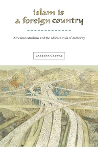 Abbildung von: Islam Is a Foreign Country - New York University Press