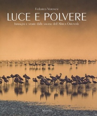 Abbildung von: Luce e polvere. Immagini e storie dalle savane dell'Africa Orientale - Marsilio
