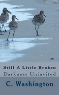 Cover: Still a Little Broken - C. Washington