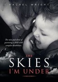 Cover: The Skies I'm Under - Born at the Right Time Publishing