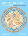 Cover: Modern Genetic Analysis - W.H.Freeman & Co Ltd