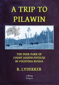 Abbildung von: A Trip to Pilawin - eKitap Projesi