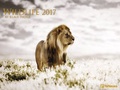 Cover: Wildlife 2017 - Neumann Verlage GmbH & Co. KG