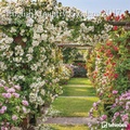 Cover: English Country Gardens 2017 - Neumann Verlage GmbH & Co. KG