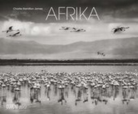 Abbildung von: Afrika 2017 schwarz/weiß Naturaufnahmen Fotokalender Wandkalender 58,4 x 48,5 cm Querformat - DuMont Kalenderverlag