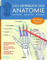 Abbildung von: Das Lehrbuch der Anatomie - Librero