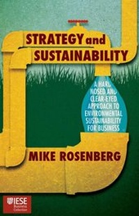Enlarge image Cover: Strategy and Sustainability - Palgrave Macmillan