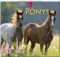 Abbildung von: PONYS - Stürtz