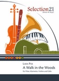 Cover: A Walk in the Woods - Kistner & Siegel