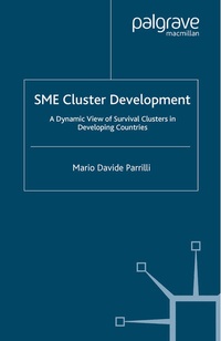 Enlarge image Cover: SME Cluster Development - Palgrave Macmillan