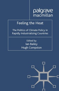 Enlarge image Cover: Feeling the Heat - Palgrave Macmillan
