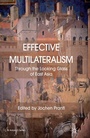 Cover: Effective Multilateralism - Palgrave Macmillan