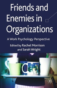 Enlarge image Cover: Friends and Enemies in Organizations - Palgrave Macmillan