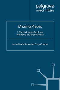 Enlarge image Cover: Missing Pieces - Palgrave Macmillan