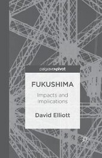 Enlarge image Cover: Fukushima - Palgrave Pivot