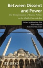 Cover: Between Dissent and Power - Palgrave Macmillan