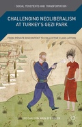 Cover: Challenging Neoliberalism at Turkey's Gezi Park - Palgrave MacMillan