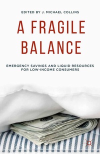 Enlarge image Cover: A Fragile Balance - Palgrave MacMillan