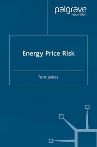 Enlarge image Cover: Energy Price Risk - Palgrave Macmillan