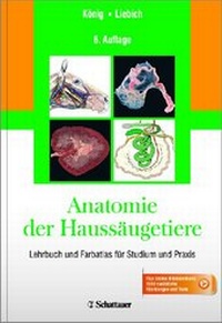 Abbildung von: Anatomie der Haussäugetiere - Schattauer