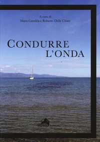 Abbildung von: Condurre l'onda. Vivere con il disturbo bipolare - Orientamenti;Alpes Italia