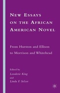 Cover: New Essays on the African American Novel - Palgrave MacMillan