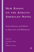 Cover: New Essays on the African American Novel - Palgrave MacMillan
