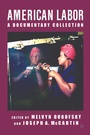 Cover: American Labor - Palgrave MacMillan