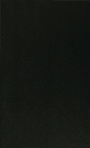 Cover: The Scourging of Iraq - Palgrave Macmillan