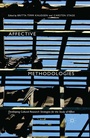 Cover: Affective Methodologies - Palgrave Macmillan