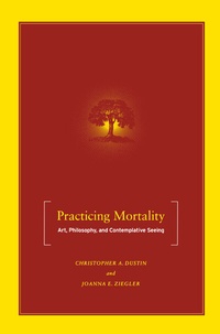 Enlarge image Cover: Practicing Mortality - Palgrave MacMillan