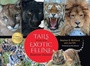 Cover: Tails from the Exotic Feline Rescue Center - Indiana University Press