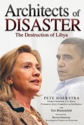 Cover: Architects of Disaster - Calamo Press